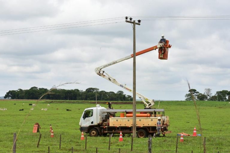 PLANO RURAL: ENEL JÁ REALIZOU 100 MIL PODAS NOS PRIMEIROS SEIS MESES DO ANO