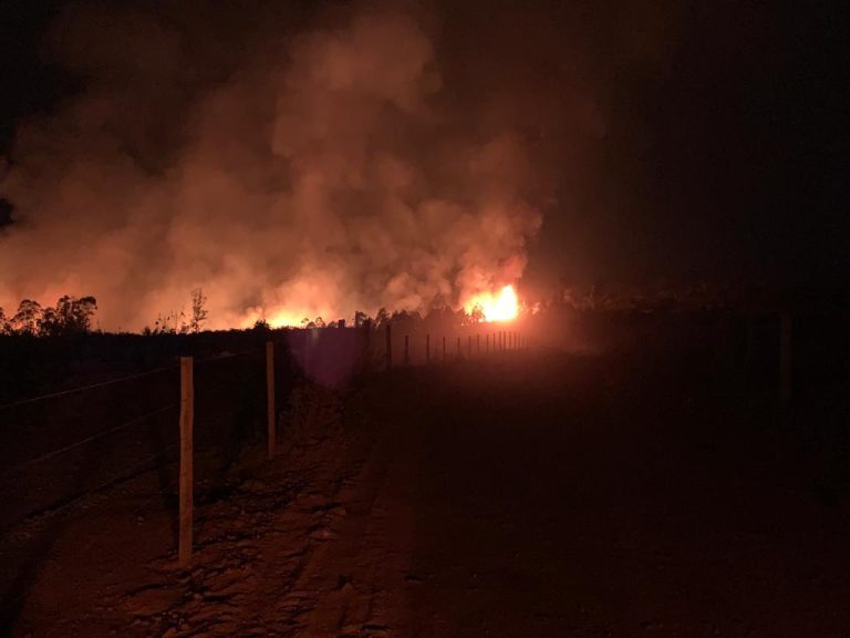 URGENTE: INCÊNDIO EM ÁREA FLORESTAL DA MINERADORA CMOC SEGUE ALASTRANDO E PREOCUPANDO CHACAREIROS