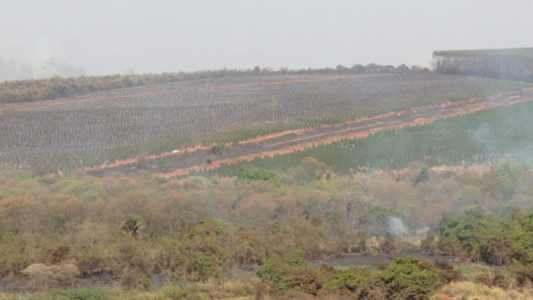 INCÊNDIO EM ÁREA FLORESTAL DA MINERADORA CMOC FOI CONTROLADO DURANTE A MADRUGADA, AFIRMA CORPO DE BOMBEIROS