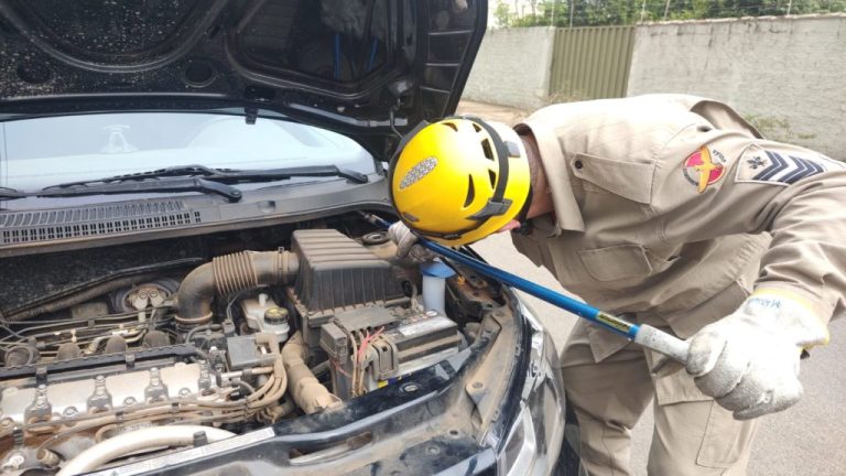 BOMBEIROS DE CATALÃO RESGATAM JIBOIA ESCONDIDA EM MOTOR DE CARRO