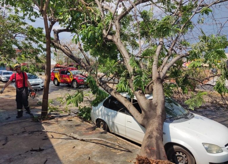 CHUVA E VENTO FORTE CAUSAM ESTRAGOS EM CALDAS NOVAS; CHUVAS VOLUMOSAS DEVEM VOLTAR A PARTIR DESTA SEXTA (07), AFIRMA CLIMATOLOGISTA DE CATALÃO