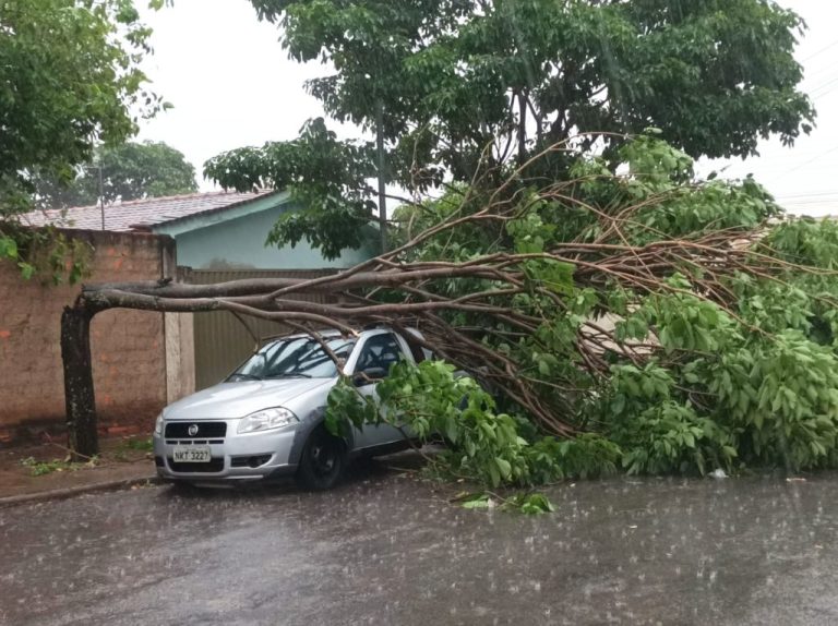 CHUVA CHEGA FORTE EM CATALÃO E COM VENTOS DE 48 KM/H; ÁRVORE CAIU EM CIMA DE VEÍCULO