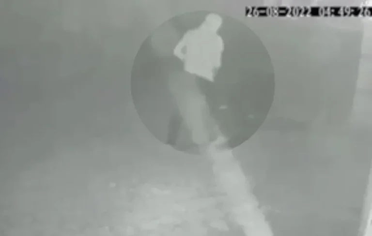 VÍDEO: HOMEM É PRESO SUSPEITO DE ESTUPRAR QUATRO COLEGAS DE TRABALHO EM PIRES DO RIO