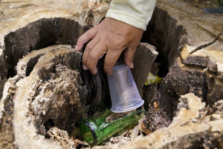 GOVERNO DE GOIÁS ALERTA PARA CUIDADOS CONTRA AEDES AEGYPTI DURANTE PERÍODO DE FÉRIAS