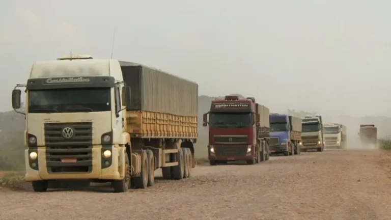 TRANSPORTADORAS DETÊM 70,40% DA EXECUÇÃO DO FRENTE NO PAÍS E CAMINHONEIROS AUTÔNOMOS 29,60%, APONTA REPOM