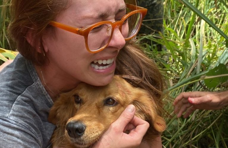 APÓS FUGIR DE PETSHOP E FICAR 17 DIAS DESAPARECIDA, A CADELA MIA FOI REECONTRADA, EM CATALÃO NESTA SEXTA-FEIRA (27/01)