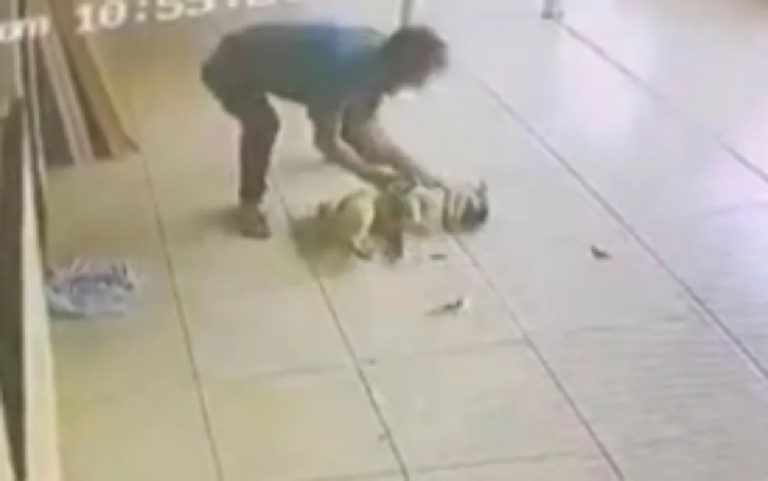 HOMEM É PRESO SUSPEITO DE PULAR MURO E ESPANCAR CACHORRO DO VIZINHO POR CAUSA DOS LATIDOS