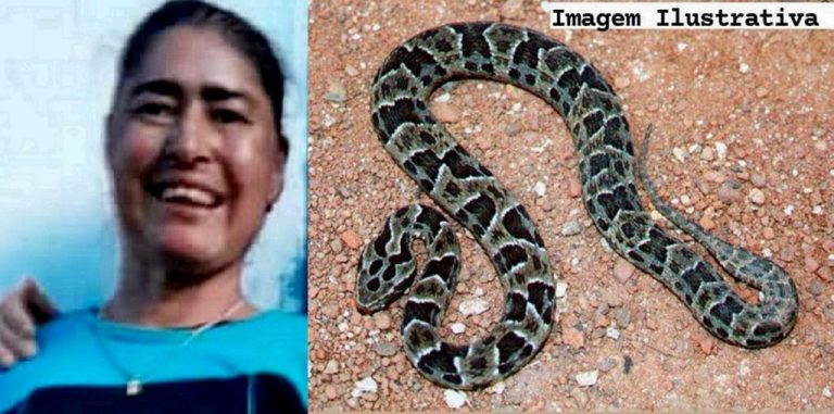 MULHER É PICADA POR COBRA VENENOSA EM TRÊS RANCHOS, É TRANSFERIDA PARA GOIÂNIA, MAS NÃO RESISTE