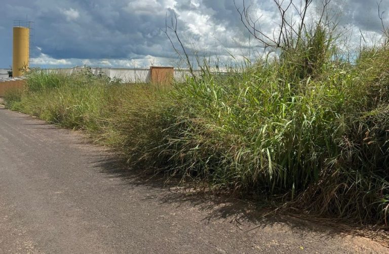 QUERO VER NO BLOG: LIMPEZA DE ÁREAS NO MARIA AMÉLIA E TAPA-BURACO NO BAIRRO CASTELO BRANCO, SÃO OS PEDIDOS FEITOS PELOS LEITORES AO BADIINHO