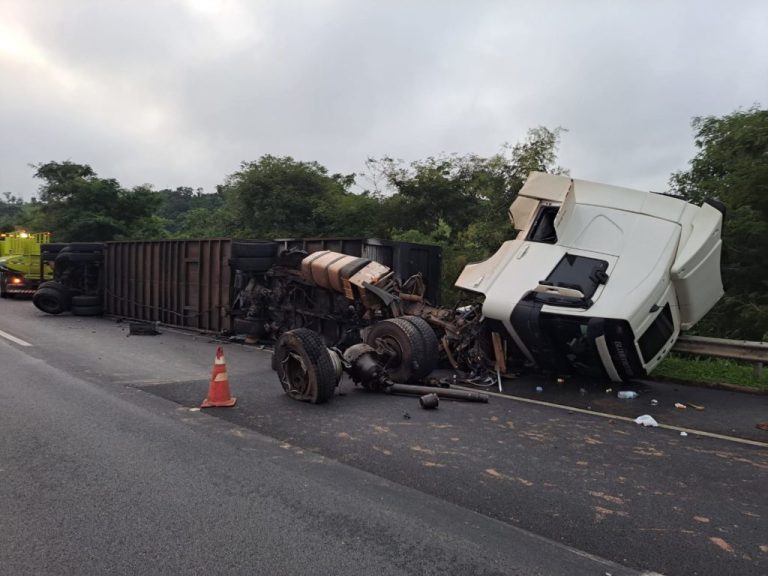 PRF ALERTA MOTORISTAS SOBRE REMOÇÃO DE ANIMAIS MORTOS NA RODOVIA BR-050 ENTRE ARAGUARI-MG E CATALÃO-GO