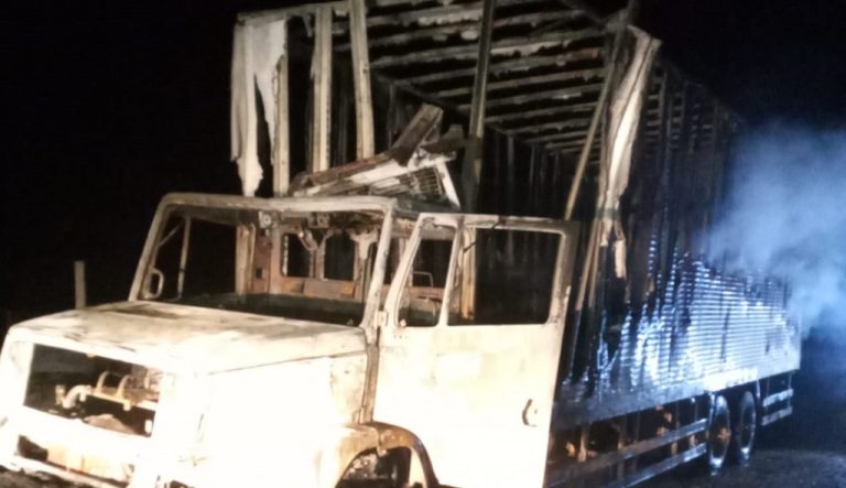 MOTORISTA ESCAPA ILESO APÓS CAMINHÃO COM INSUMOS FARMACÊUTICOS PEGAR FOGO NA GO-330