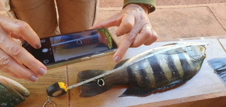 FISCAIS DA SEMAD APREENDEM EQUIPAMENTOS, MAIS DE 164 KG DE PEIXES E APLICAM MULTAS EM OPERAÇÃO DE COMBATE À PESCA ILEGAL NO LAGO SERRA DA MESA