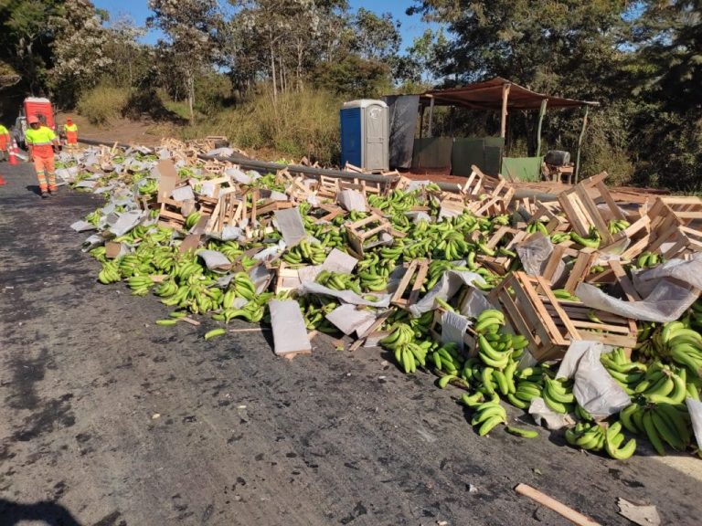 ACIDENTE COM CAMINHÃO CARREGADO DE BANANA INTERROMPE TRÂNSITO PARCIALMENTE NA BR-050, EM CATALÃO