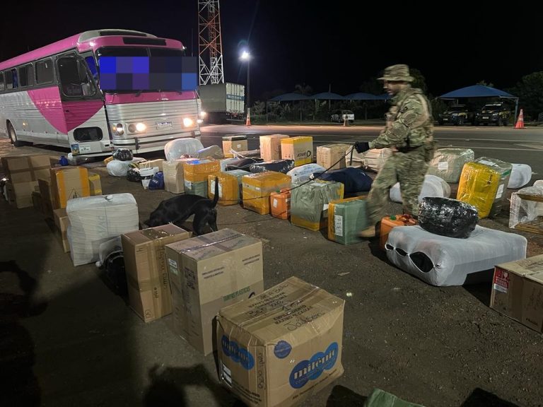 OPERAÇÃO POLICIAL NA BR-050 RESULTA EM APREENSÃO DE DROGAS E EM PRISÕES