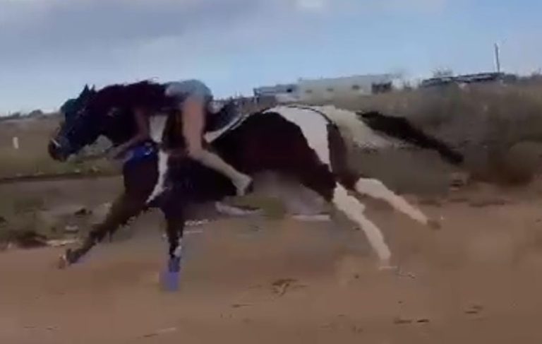 ANIMAL EM DISPARADA: JOVEM DE 18 ANOS É ARREMESSADA DE CAVALO EM FRENTE A FACULDADE UNA
