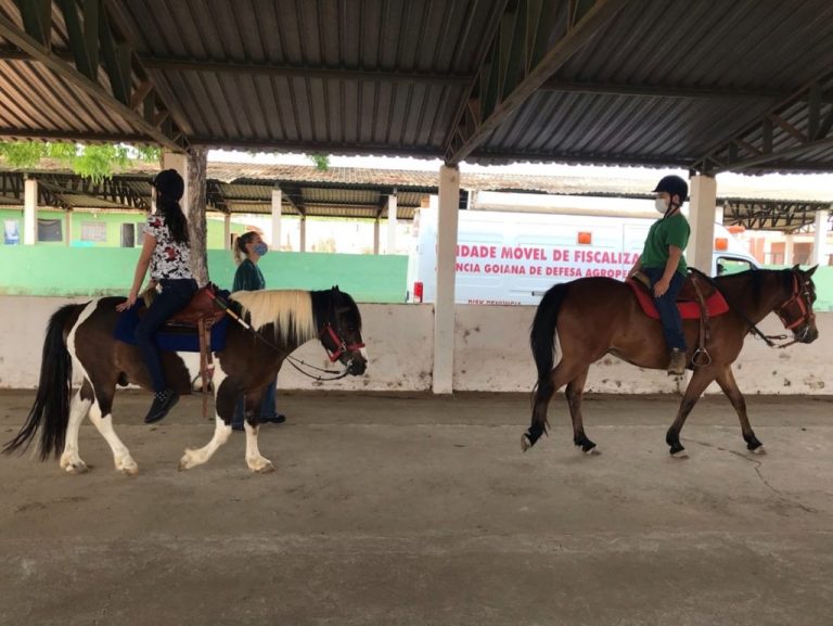 ASSOCIAÇÃO CATALANA DE EQUOTERAPIA – ASCATE OFERECE EQUITAÇÃO LÚCIDA PARA TODAS AS IDADES