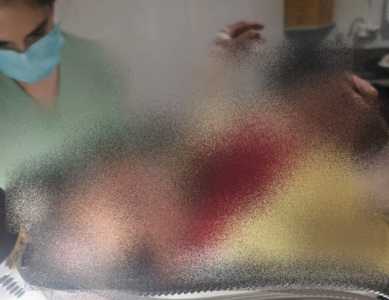 IDOSO COVARDEMENTE AGREDIDO EM GOIANDIRA: MULHER O ATACOU COM TIJOLADAS E AINDA ROUBOU SUA CARTEIRA