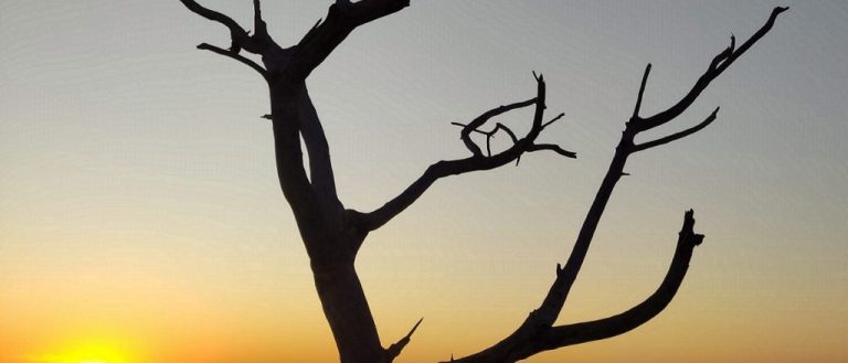 GRANDE ONDA DE CALOR É ESPERADA EM CATALÃO E EM GOIÁS, COM TEMPERATURAS PODENDO SUPERAR 40ºC