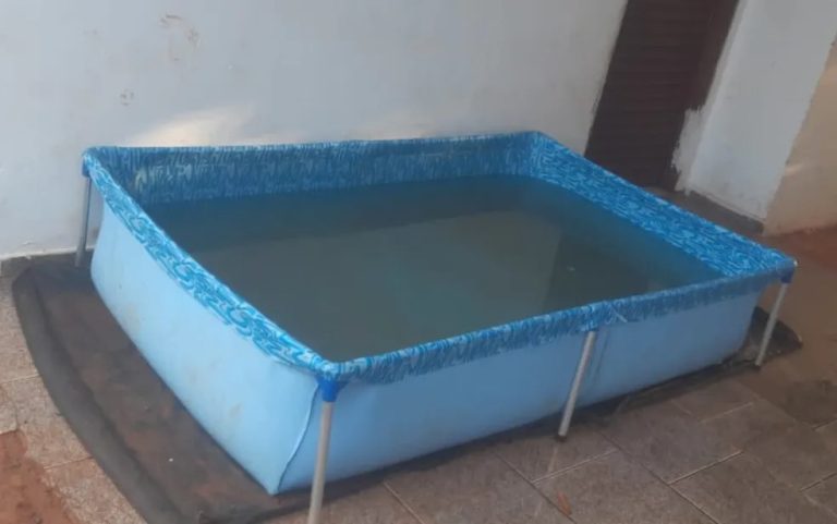 FATALIDADE EM GOIÁS: BEBÊ DE 1 ANO MORRE AFOGADO EM PISCINA DE PLÁSTICO NA CIDADE DE RIO VERDE