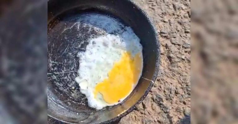 QUANDO O CALOR VAI LONGE DEMAIS: OVO FRITO NO ASFALTO DE GOIÁS