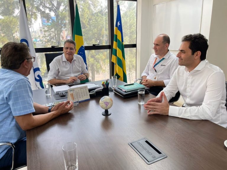 PARCERIA ESTRATÉGICA: DEPUTADO JAMIL CALIFE E HPE AUTOMOTORES BUSCAM MELHORIAS PARA  O DISTRITO MINERO INDUSTRIAL DE CATALÃO (DIMIC)