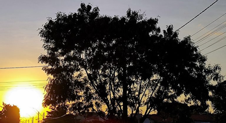 MUDANÇA NO TEMPO: FRENTE FRIA PROMETE DAR FIM AO CALOR EM CATALÃO A PARTIR DA PRÓXIMA SEMANA