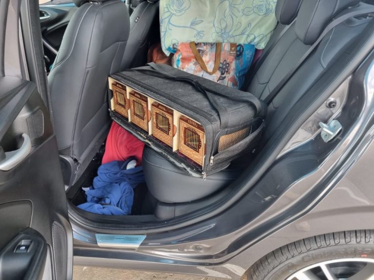 HOMEM É PRESO EM CATALÃO POR TRANSPORTE IRREGULAR DE ANIMAIS