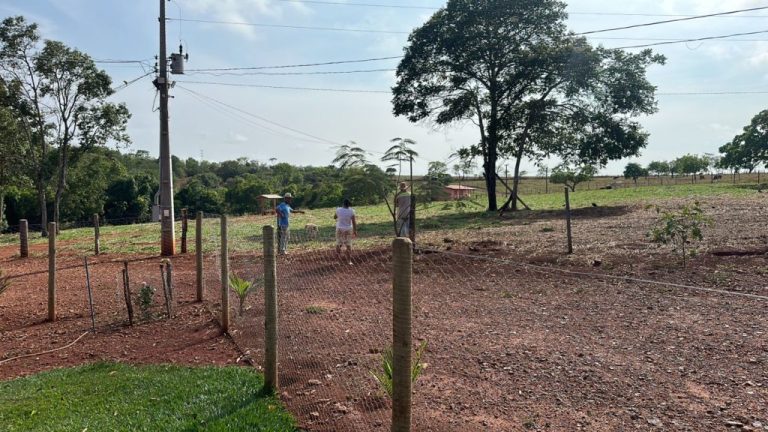 COMUNIDADE RURAL DE SÃO DOMINGOS, EM CATALÃO, CLAMA POR SOLUÇÃO AO COMPLETAR MAIS DE 256 HORAS SEM ENERGIA