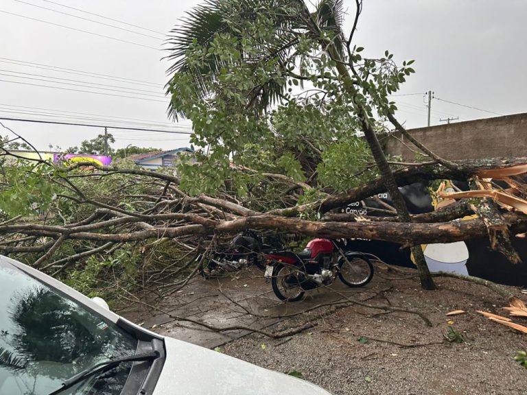 VENTOS FORTES E CHUVA ISOLADA: ESTRAGOS EM TRÊS RANCHOS E GOIANDIRA