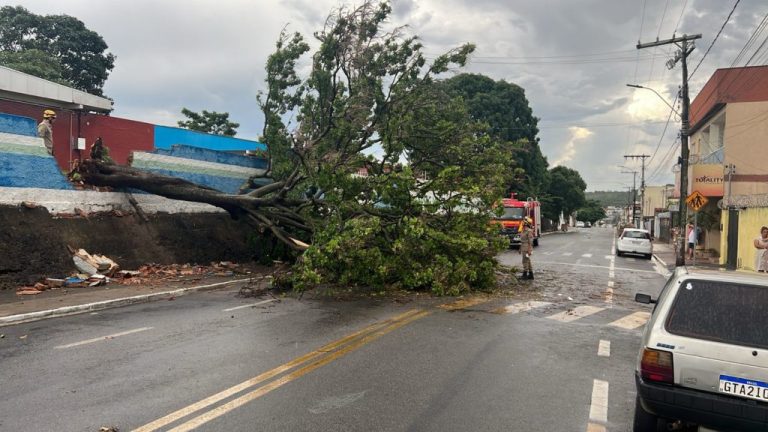 TEMPO IMPIEDOSO EM CATALÃO: BOMBEIROS REMOVERAM ÁRVORE CAÍDA E ALERTAM PARA POSSIBILIDADE DE MAIS TEMPESTADES