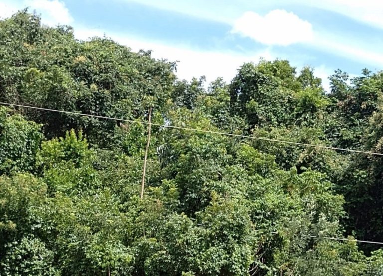MORADORES DA ZONA RURAL DE SANTO ANTÔNIO DO RIO VERDE, EM CATALÃO, SOFREM FALTA DE ENERGIA QUE COMPLETA CINCO DIAS; EQUATORIAL, PROVIDÊNCIAS SÃO DE URGÊNCIA