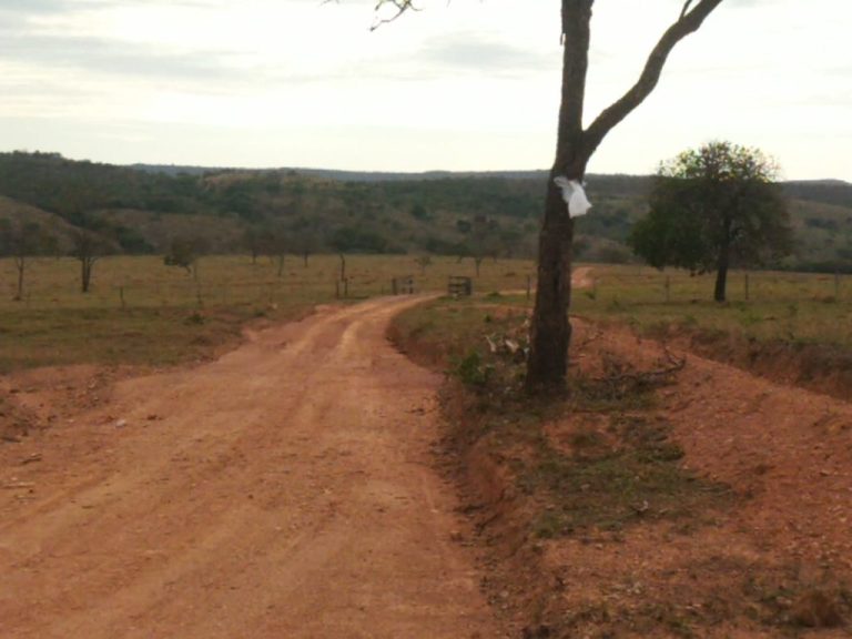 SEM LUZ E SEM RESPOSTAS: MORADORES DA ZONA RURAL DE DAVINÓPOLIS CLAMAM POR SOLUÇÃO AO COMPLETAREM MAIS DE 24 HORAS SEM ENERGIA