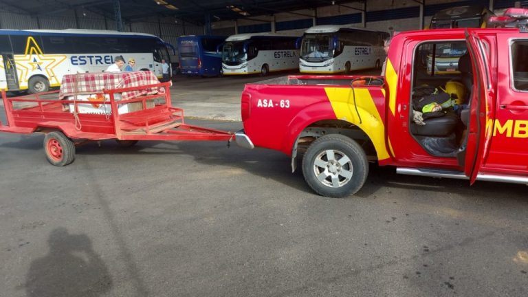 OPERAÇÃO DE RESGATE: LOBO-GUARÁ ENCONTRADO EM EMPRESA DE ÔNIBUS