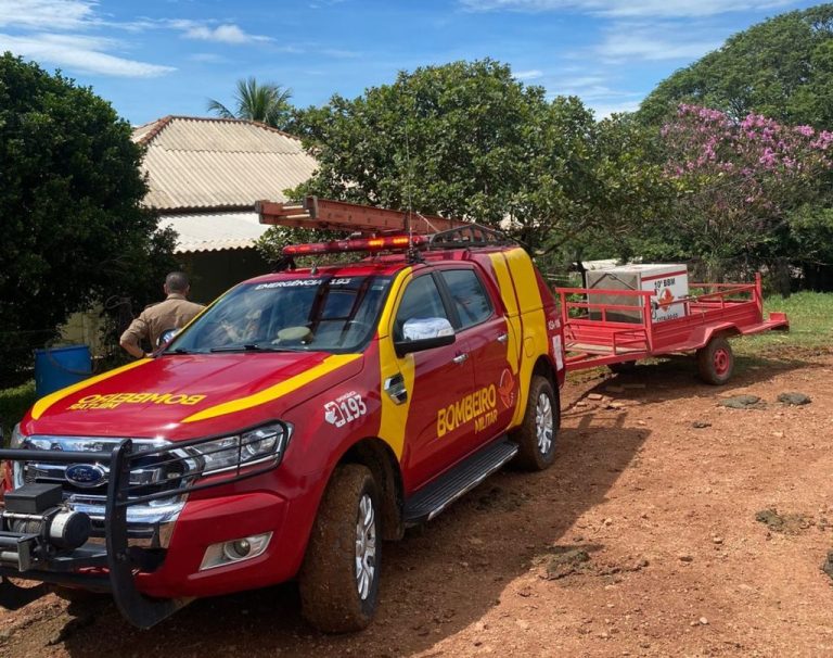 Lobo-guará foi resgatado pelos bombeiros de Catalão