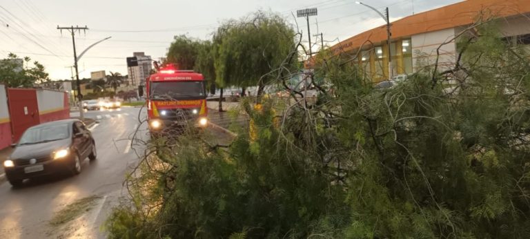 Temporal causa estragos em Catalão, interrompe aulas de colégio estadual, e previsão de instabilidade persiste