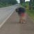 Em Goiás, PRF resgata criança de quatro anos que caminhava sozinha em rodovia federal