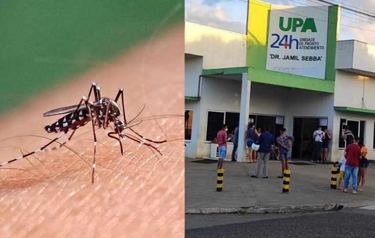 Catalão registra quase três mil casos de dengue e duas mortes foram confirmadas