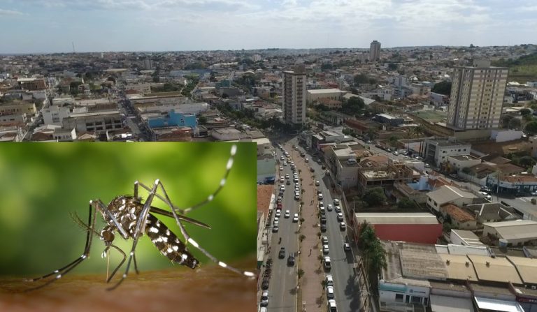 Depois de registrar mais de 4 mil casos e duas mortes, os casos de dengue em Catalão apresentam queda