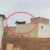 Passeio nas Alturas: bezerro foi flagrado andando em telhado de casa no interior de Goiás
