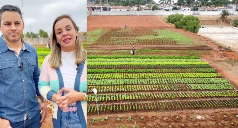 Distribuição de hortaliças do projeto ‘Horta Comunitária’ em Três Ranchos beneficia mais de 500 famílias