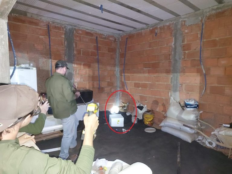 Bombeiros resgataram Lobo Guará em Catalão com ajuda de profissionais do CETAS