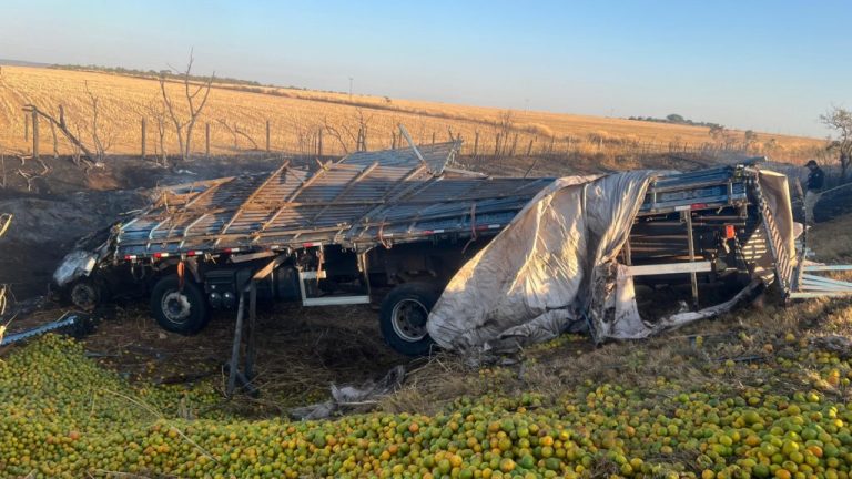 Caminhão carregado com laranjas tombou e pegou fogo na BR-050, em Campo Alegre de Goiás; motorista morreu no local