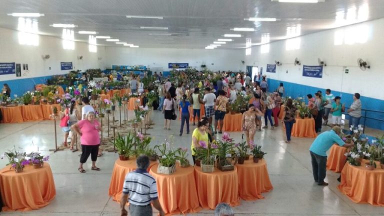 19ª Mostra de Orquídeas de Catalão vai acontecer na segunda semana de setembro