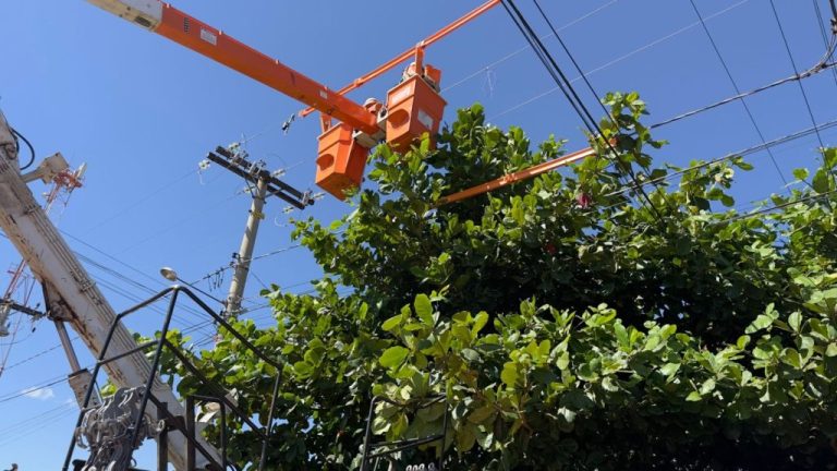 Saiba como a Equatorial Goiás está combatendo problemas de energia causados por árvores