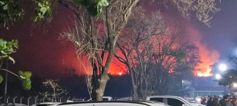 Chamas ameaçaram clube, em Catalão, após incêndio destruir florestas de eucalipto