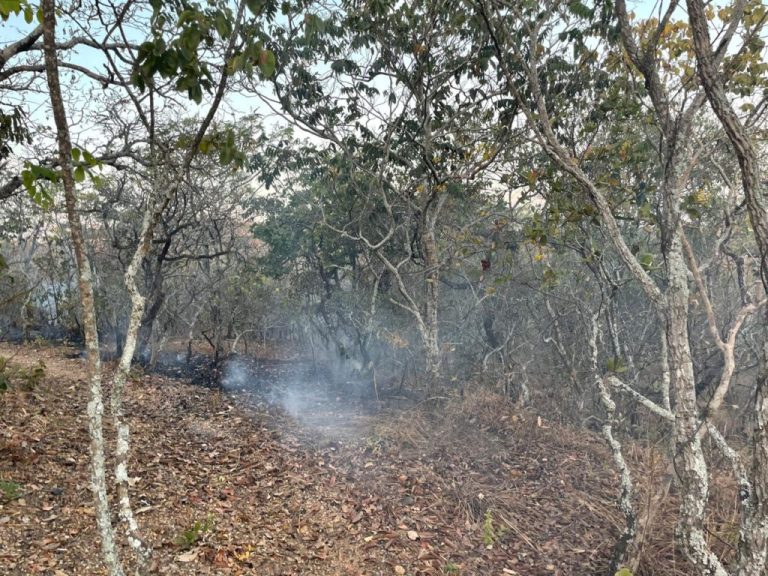 Bombeiros de Catalão são acionados para combater incêndio no Pasto do Pedrinho