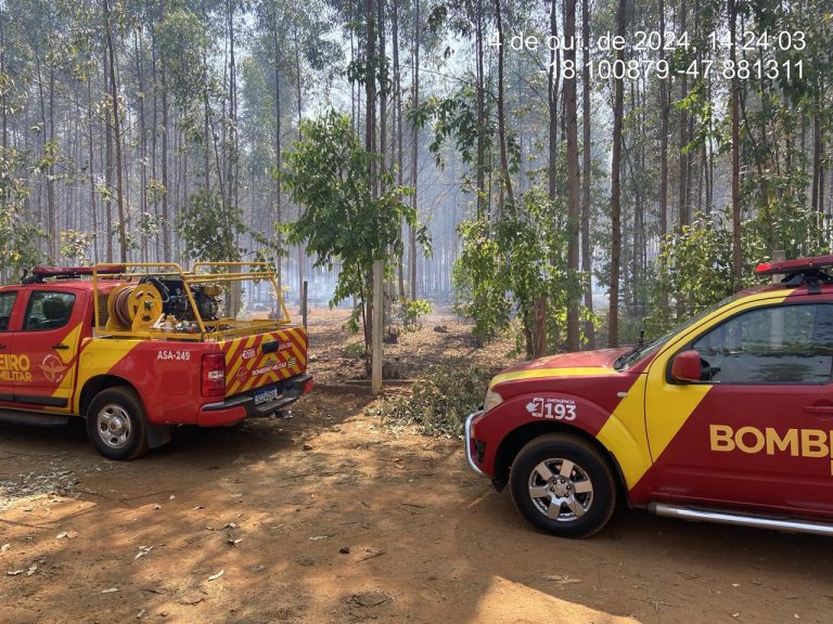 Bombeiros de Catalão combatem incêndio em vegetação de eucalipto, na BR-050, em frente ao restaurante Tudo Caipira