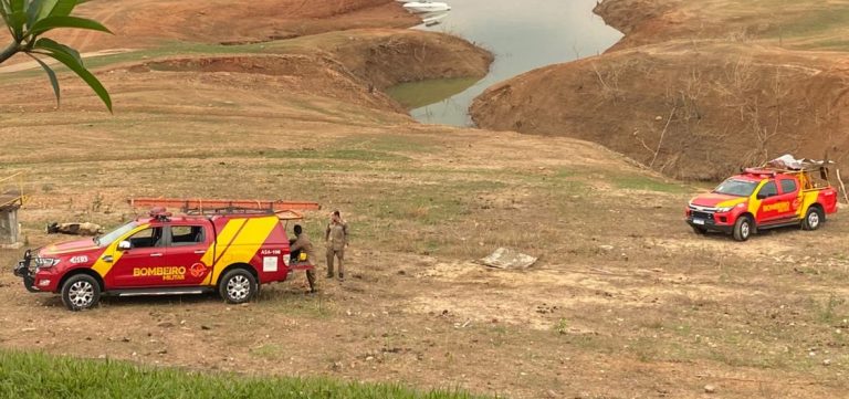 Equipe do Corpo de Bombeiros de Catalão salva bezerro preso em brejo em Três Ranchos