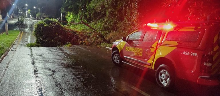 Equipe dos bombeiros removeram árvore caída próximo à represa do Haley em Catalão