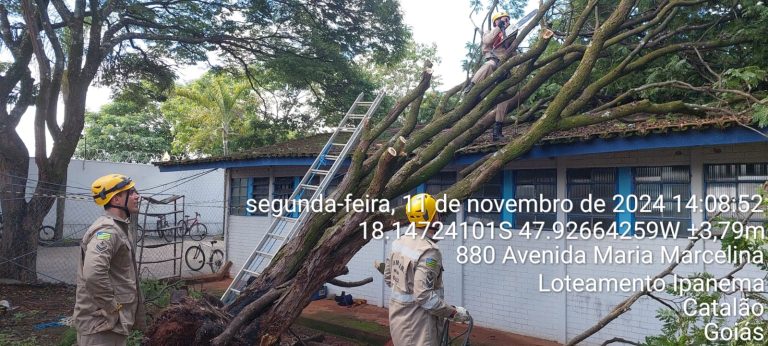 Após fortes chuvas, escola em Catalão tem sala interditada após queda de árvore